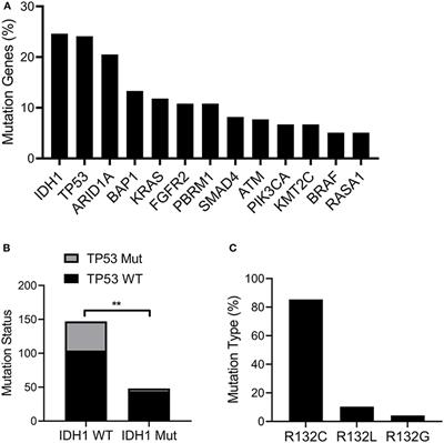 Mutation of Isocitrate Dehydrogenase 1 in Cholangiocarcinoma Impairs Tumor Progression by Inhibiting Isocitrate Metabolism